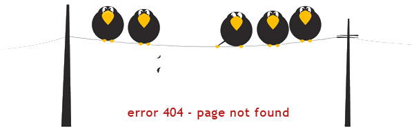 404 page not found